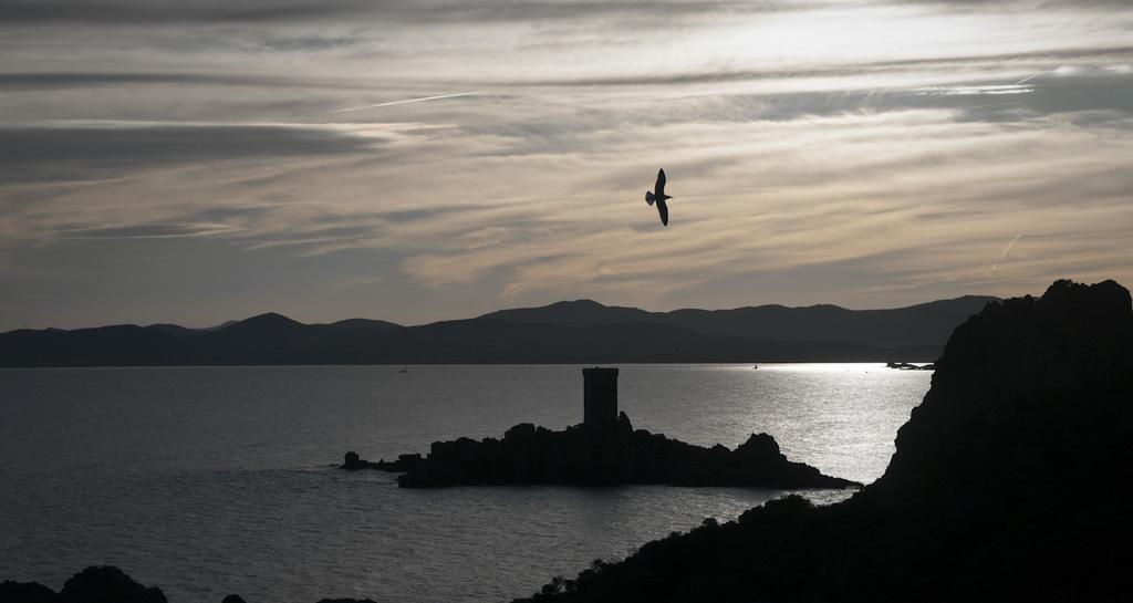 Cap Esterel Garden Flat Saint-Raphaël Eksteriør bilde